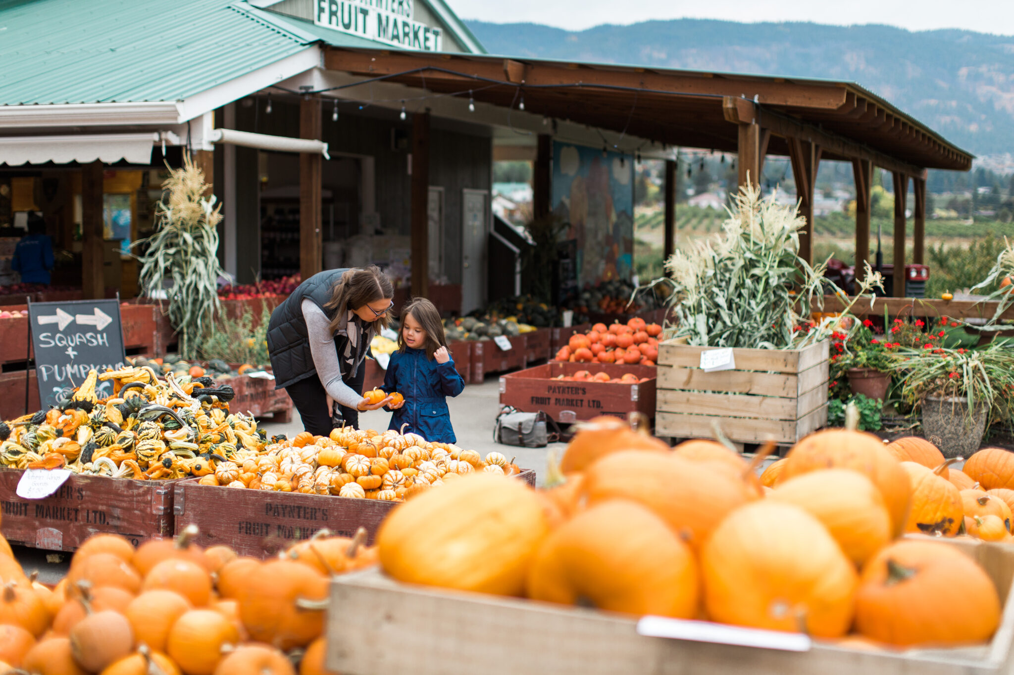 Get Outside Best Things to Do in Osoyoos This Fall