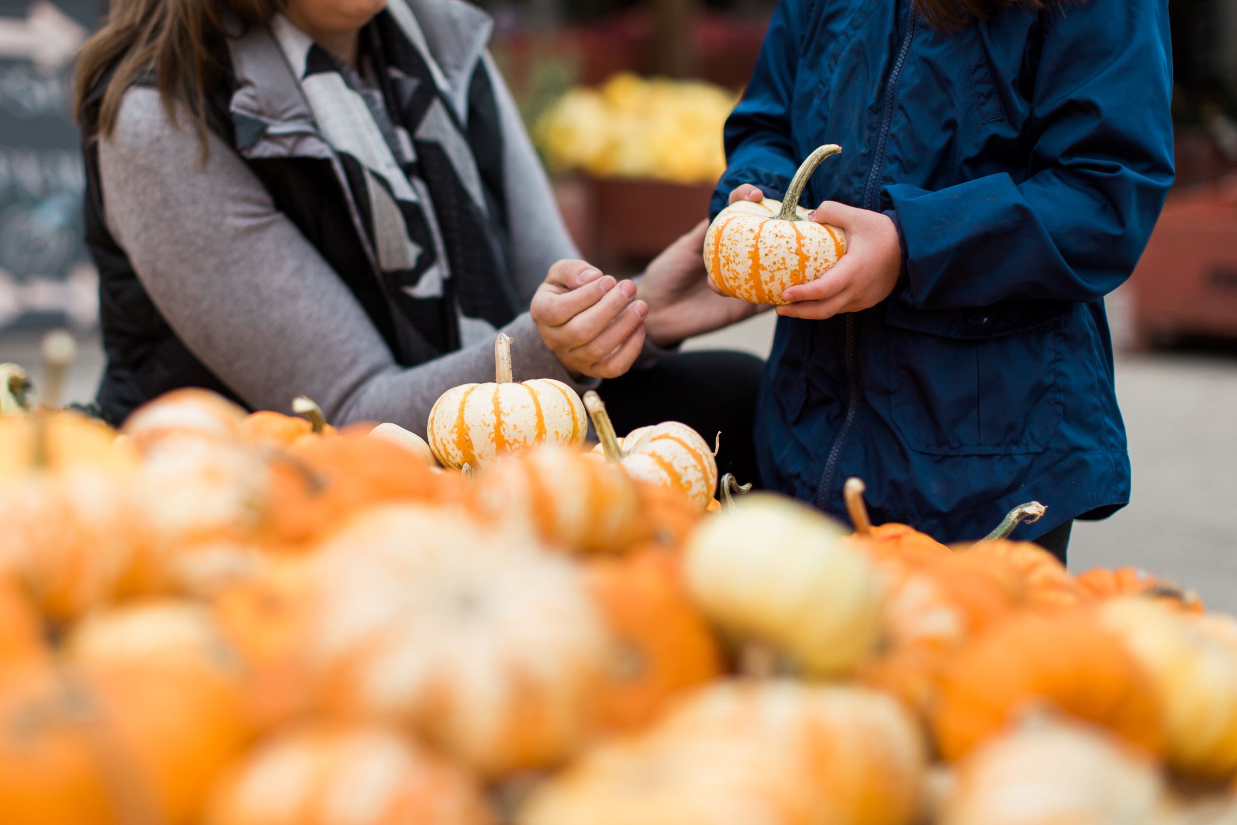 fruit stands Destination Osoyoos