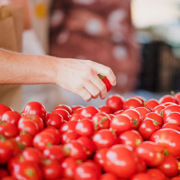 Explore the OsoyoosOliver Fruit Stand Trail